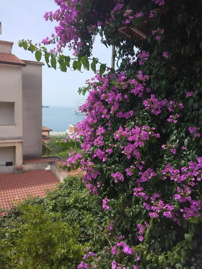Aparthotel Luna Tsuki Seven Rovinj Croatia